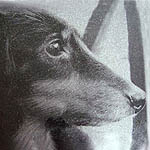 �����̃|�[�g���[�g